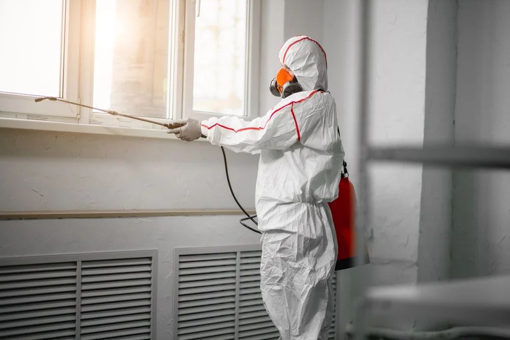 Professional mold remediation services in Sheridan, MI